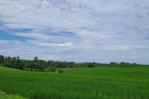 Tanah kavling 2800m2 di Tabanan, Bali (711)