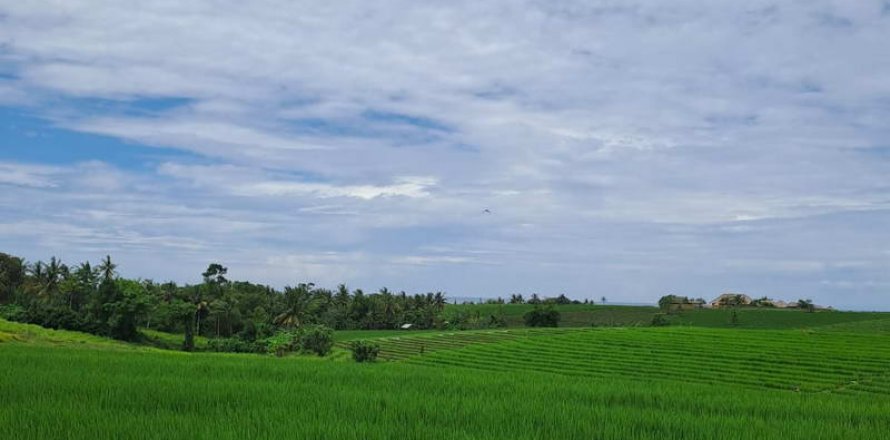 2800m2 Land in Tabanan, Bali (711)