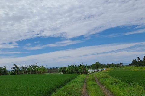2800m2 Land in Tabanan, Bali (711) 7