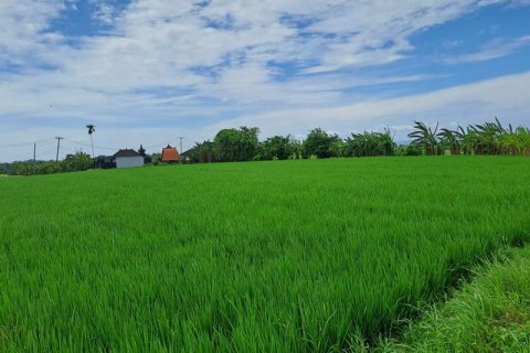 2800m2 Land in Tabanan, Bali (711) 13