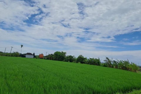 2800m2 Land in Tabanan, Bali (711) 4