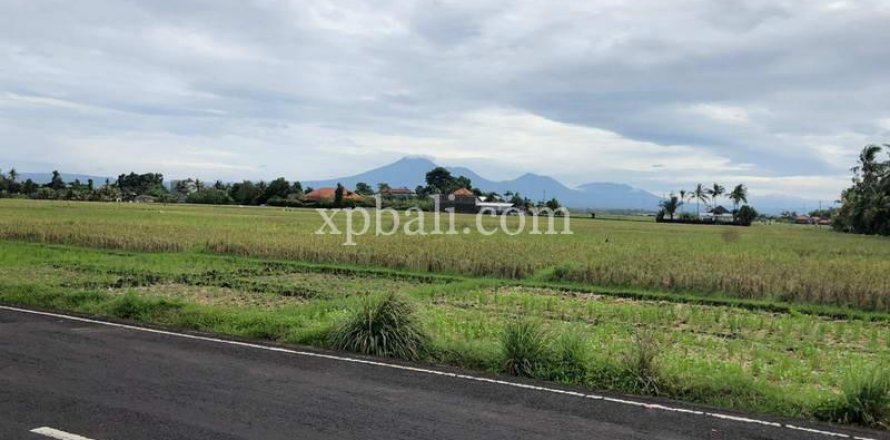 3800m2 Land in Tabanan, Bali (802)