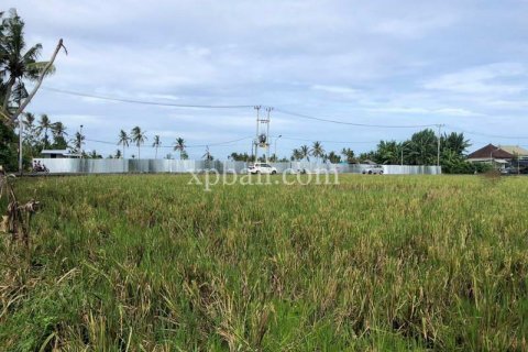 3800m2 Land in Tabanan, Bali (802) 5
