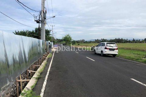 3800m2 Land in Tabanan, Bali (802) 15