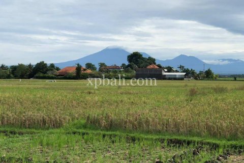 3800m2 Land in Tabanan, Bali (802) 2