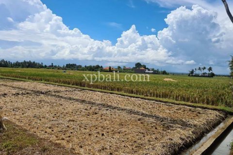 3800m2 Land in Tabanan, Bali (802) 17