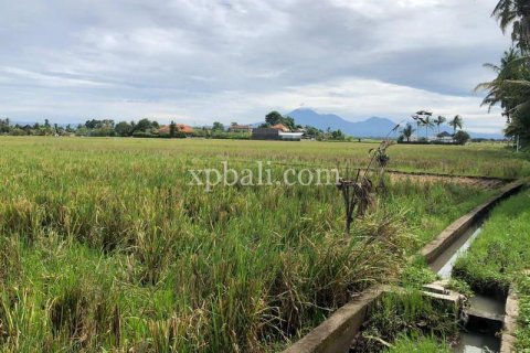 3800m2 Land in Tabanan, Bali (802) 20