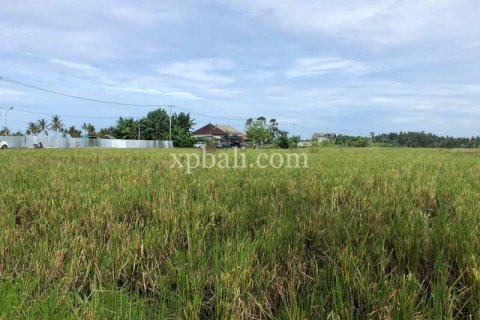 3800m2 Land in Tabanan, Bali (802) 14