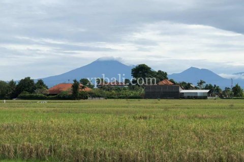 3800m2 Land in Tabanan, Bali (802) 22