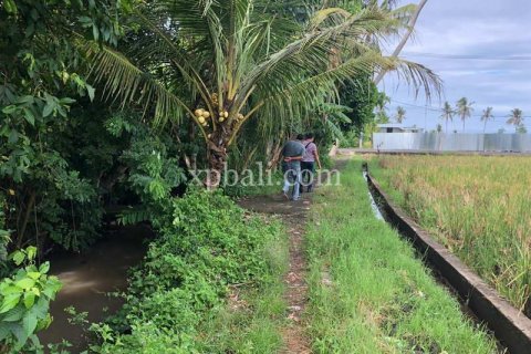 3800m2 Land in Tabanan, Bali (802) 23