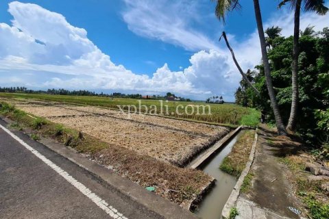 3800m2 Land in Tabanan, Bali (802) 7