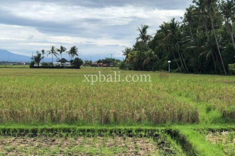 3800m2 Land in Tabanan, Bali (802) 21