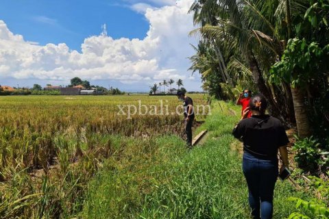 3800m2 Land in Tabanan, Bali (802) 10