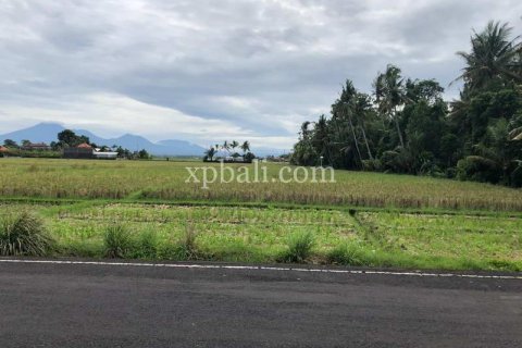 3800m2 Land in Tabanan, Bali (802) 3