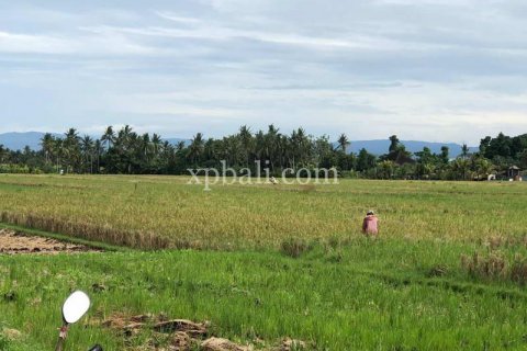 3800m2 Land in Tabanan, Bali (802) 12