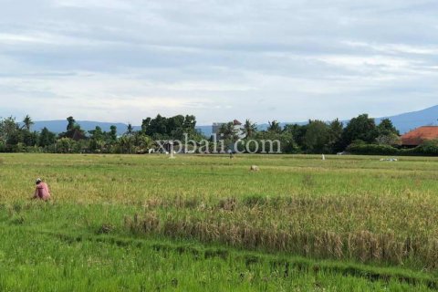 3800m2 Land in Tabanan, Bali (802) 9