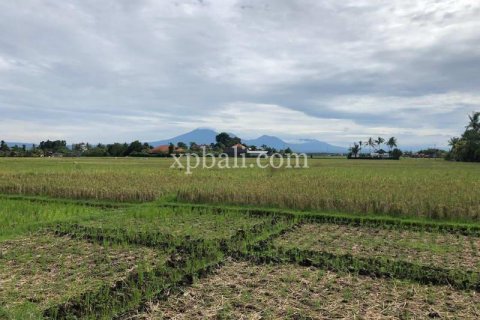 3800m2 Land in Tabanan, Bali (802) 13