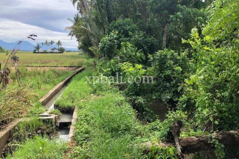 3800m2 Land in Tabanan, Bali (802) 4