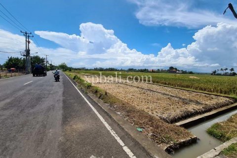 3800m2 Land in Tabanan, Bali (802) 24
