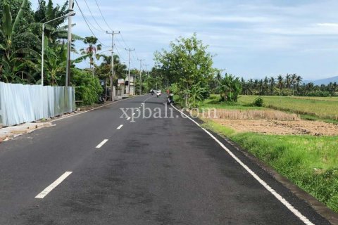 3800m2 Land in Tabanan, Bali (802) 16