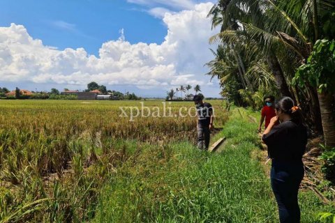 3800m2 Land in Tabanan, Bali (802) 8