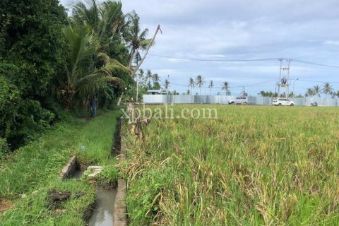 3800m2 Land in Tabanan, Bali (802) 6