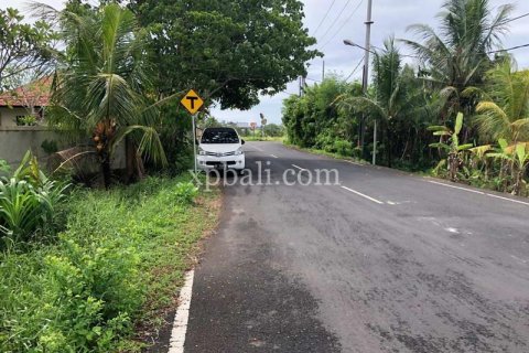 3800m2 Land in Tabanan, Bali (802) 18