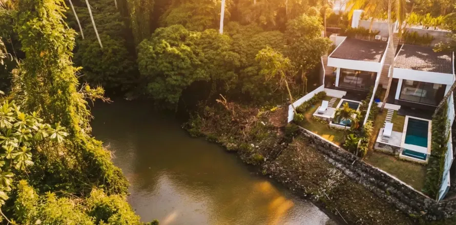 1 bedroom Villa in Ubud, Gianyar, Bali (11098)