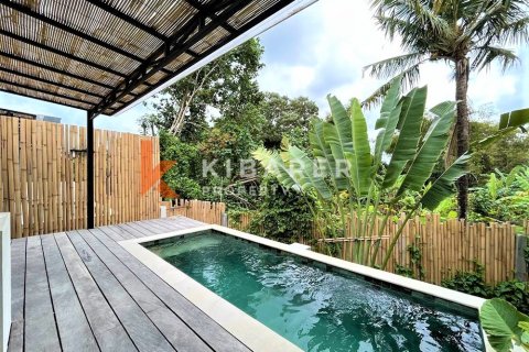 1 bedroom Villa in Pererenan, Mengwi, Badung, Bali (13668) 8