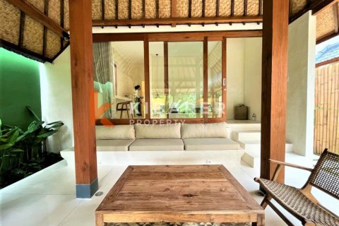 1 bedroom Villa in Pererenan, Mengwi, Badung, Bali (13668) 2
