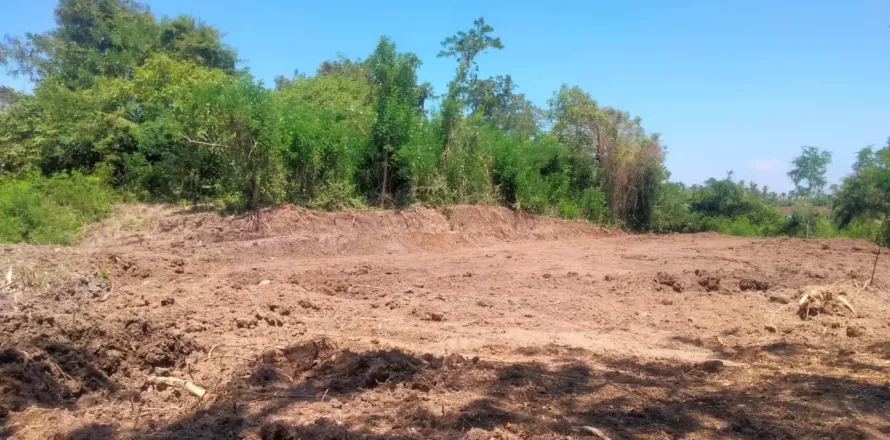 Land in Badung, Bali (11380)