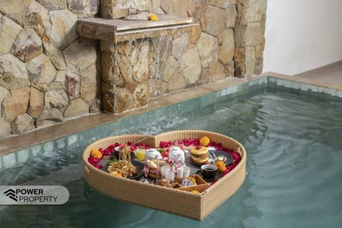 2 bedrooms Villa in Canggu, Badung, Bali (9641) 9