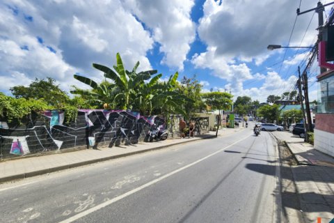 Land in Canggu, Badung, Bali (11909) 3