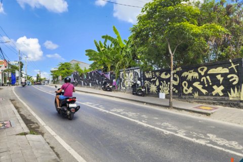 Land in Canggu, Badung, Bali (11909) 2