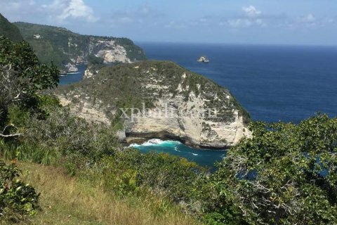 Tanah kavling 24760m2 di Nusa Penida, Klungkung, Bali (898)