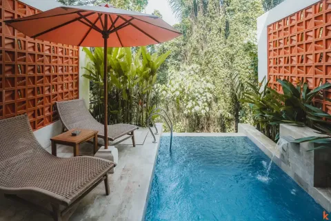 1 bedroom Villa in Ubud, Gianyar, Bali (13829) 3