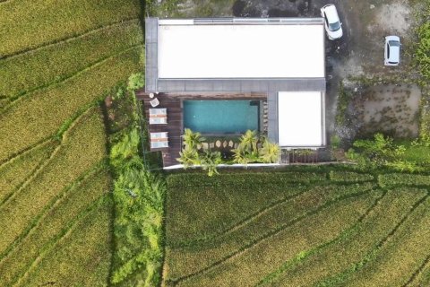 6 bedrooms Villa in MOA RESORT, Kerobokan, Badung, Bali (4750) 14