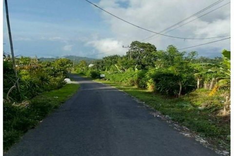 36300m2 Land in Buleleng, Bali (8718) 6