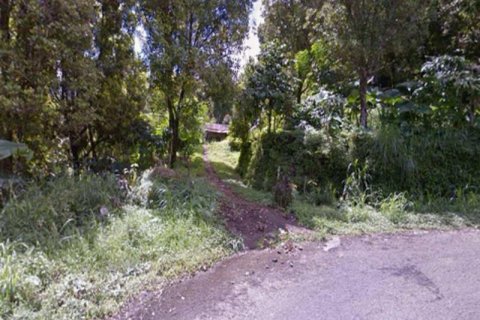 36300m2 Land in Buleleng, Bali (8718) 5