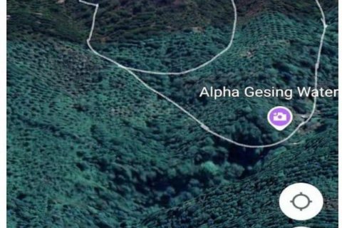 36300m2 Land in Buleleng, Bali (8718) 2