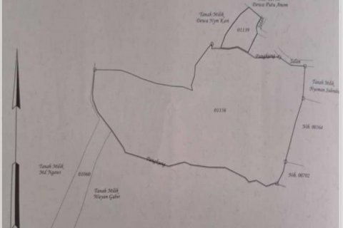36300m2 Land in Buleleng, Bali (8718) 7