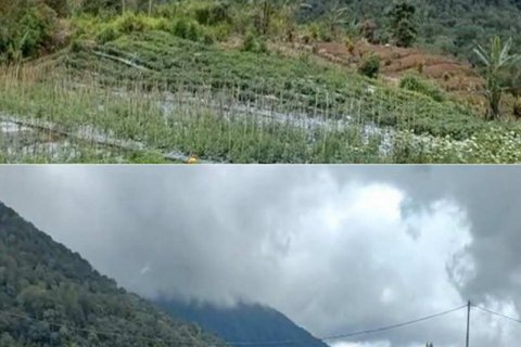 5000m2 Land in Buleleng, Bali (8719) 3