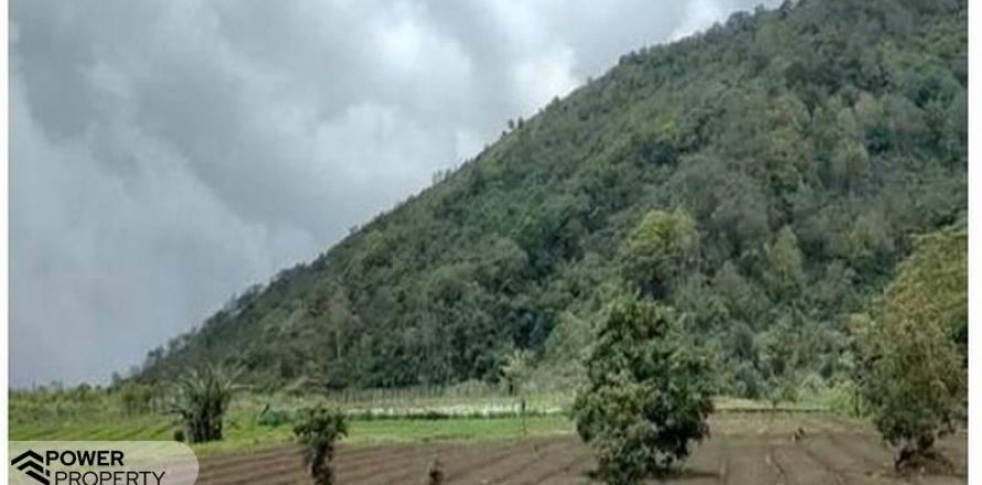 5000m2 Land in Buleleng, Bali (8719)
