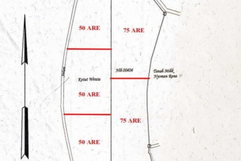 5000m2 Land in Buleleng, Bali (8719) 8