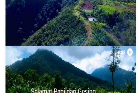 5000m2 Land in Buleleng, Bali (8719) 5