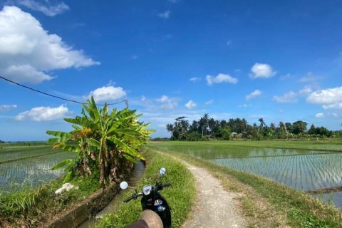 5500m2 Land in Tabanan, Bali (8717) 10