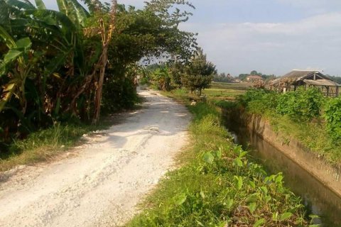 5500m2 Land in Tabanan, Bali (8717) 16