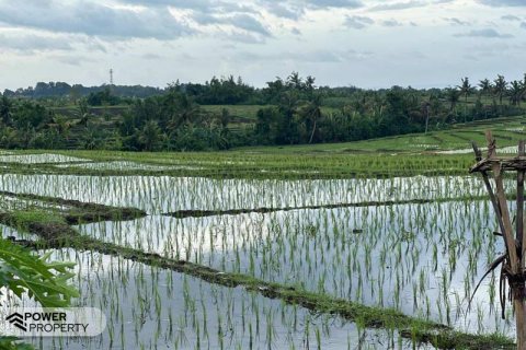 5500m2 Land in Tabanan, Bali (8717) 4