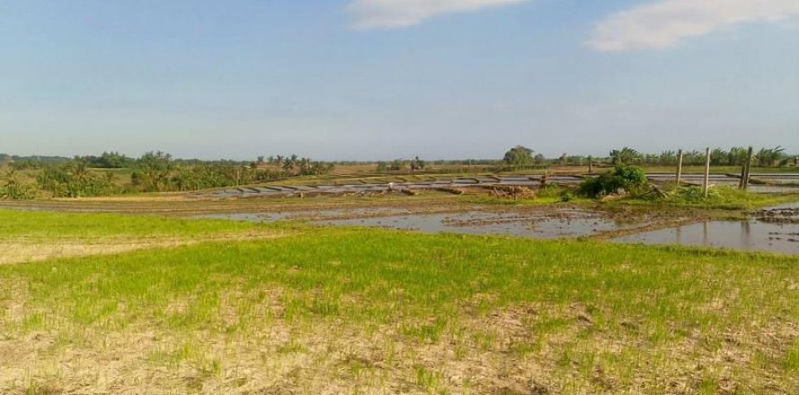 5500m2 Land in Tabanan, Bali (8717)