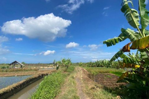 5500m2 Land in Tabanan, Bali (8717) 12
